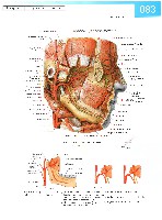 Sobotta Atlas of Human Anatomy  Head,Neck,Upper Limb Volume1 2006, page 90